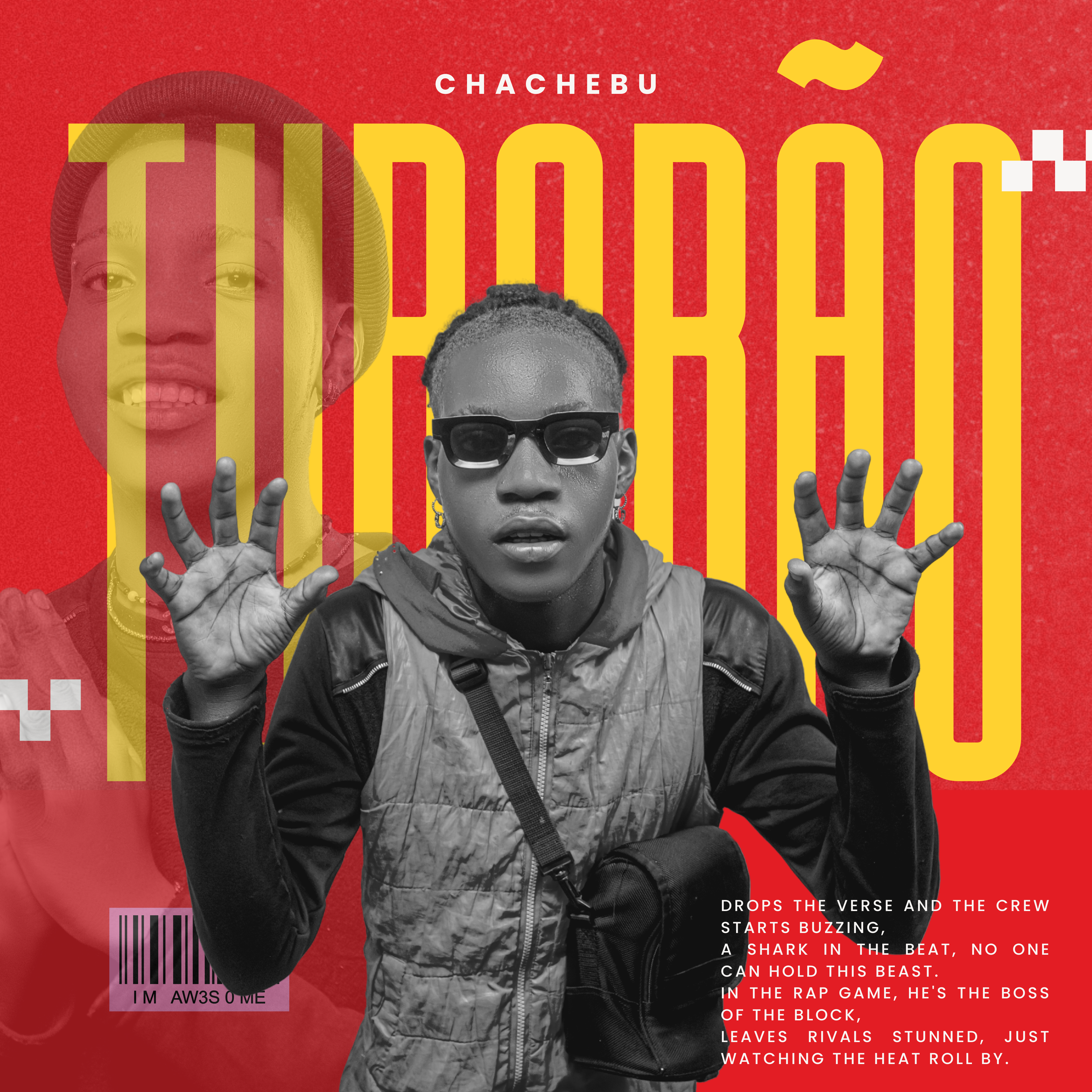 Chachebu - Tubarão